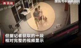 尹约爆料大鱼完整版视频,大鱼完整版视频幕后真相大曝光